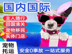 霍林郭勒霍林河国际宠物托运 【国